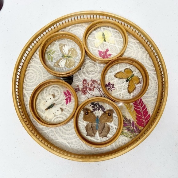 Vintage MCM Pressed Butterfly Bamboo Tray &‎ Coaster Set 6 Pieces - Picture 1 of 13